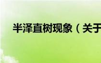 半泽直树现象（关于半泽直树现象简介）