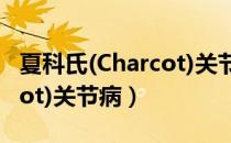 夏科氏(Charcot)关节病（关于夏科氏(Charcot)关节病）