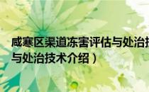 咸寒区渠道冻害评估与处治技术（关于咸寒区渠道冻害评估与处治技术介绍）
