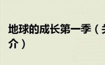地球的成长第一季（关于地球的成长第一季简介）