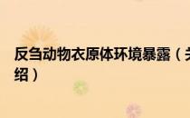 反刍动物衣原体环境暴露（关于反刍动物衣原体环境暴露介绍）