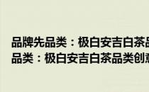 品牌先品类：极白安吉白茶品类创意策划全案（关于品牌先品类：极白安吉白茶品类创意策划全案介绍）