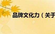 品牌文化力（关于品牌文化力介绍）