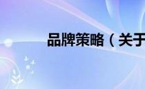 品牌策略（关于品牌策略介绍）