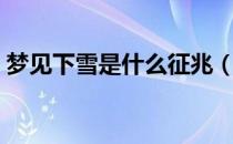 梦见下雪是什么征兆（梦见下雨是什么征兆）