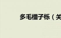 多毛橿子栎（关于多毛橿子栎）