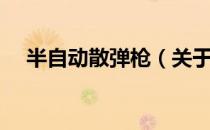 半自动散弹枪（关于半自动散弹枪简介）