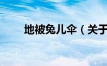 地被兔儿伞（关于地被兔儿伞简介）