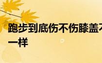 跑步到底伤不伤膝盖不同的人给出的答案也不一样