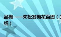 品梅——朱松发梅花百图（关于品梅——朱松发梅花百图介绍）