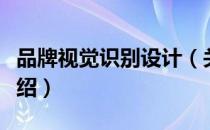 品牌视觉识别设计（关于品牌视觉识别设计介绍）