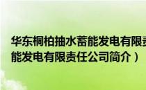 华东桐柏抽水蓄能发电有限责任公司（关于华东桐柏抽水蓄能发电有限责任公司简介）