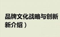 品牌文化战略与创新（关于品牌文化战略与创新介绍）