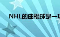 NHL的曲棍球是一项适合所有人的运动