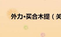 外力·买合木提（关于外力·买合木提）
