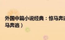 外国中篇小说经典：惊马奔逃（关于外国中篇小说经典：惊马奔逃）