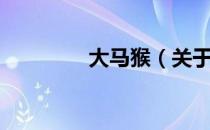 大马猴（关于大马猴简介）