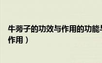 牛蒡子的功效与作用的功能与主治与用量（牛蒡子的功效与作用）