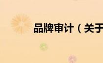 品牌审计（关于品牌审计介绍）