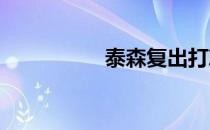 泰森复出打慈善表演赛