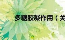 多糖胶凝作用（关于多糖胶凝作用）