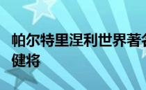 帕尔特里涅利世界著名的男子中长距离自由泳健将