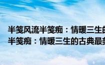 半笺风流半笺痴：情暖三生的古典最美情诗（关于半笺风流半笺痴：情暖三生的古典最美情诗简介）