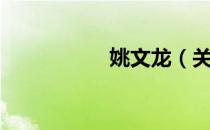 姚文龙（关于姚文龙）