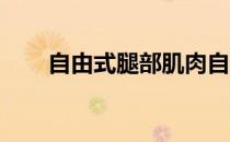 自由式腿部肌肉自由腿运动视频练习