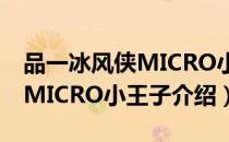 品一冰风侠MICRO小王子（关于品一冰风侠MICRO小王子介绍）