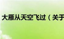 大雁从天空飞过（关于大雁从天空飞过简介）