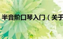 半音阶口琴入门（关于半音阶口琴入门简介）