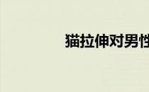 猫拉伸对男性有什么好处 