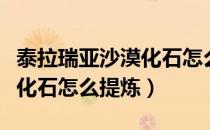泰拉瑞亚沙漠化石怎么提炼成红石（泰拉瑞亚化石怎么提炼）