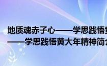 地质魂赤子心——学思践悟黄大年精神（关于地质魂赤子心——学思践悟黄大年精神简介）