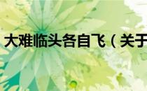 大难临头各自飞（关于大难临头各自飞简介）