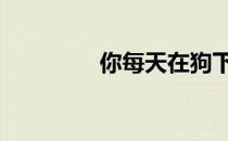 你每天在狗下面做几分钟 
