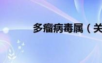 多瘤病毒属（关于多瘤病毒属）