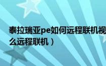 泰拉瑞亚pe如何远程联机视频教程（泰拉瑞亚1.4手机版怎么远程联机）