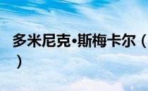 多米尼克·斯梅卡尔（关于多米尼克·斯梅卡尔）