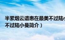 半累烟云遗惠在最美不过陆小曼（关于半累烟云遗惠在最美不过陆小曼简介）