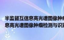 半监督互信息高光谱图像肿瘤检测与识别（关于半监督互信息高光谱图像肿瘤检测与识别简介）