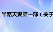 半路夫妻第一部（关于半路夫妻第一部简介）
