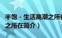半饱－生活高潮之所在（关于半饱－生活高潮之所在简介）