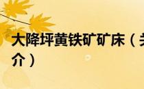 大降坪黄铁矿矿床（关于大降坪黄铁矿矿床简介）