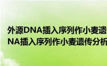 外源DNA插入序列作小麦遗传分析的分子标记（关于外源DNA插入序列作小麦遗传分析的分子标记）