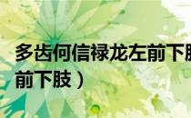 多齿何信禄龙左前下肢（关于多齿何信禄龙左前下肢）