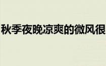 秋季夜晚凉爽的微风很适合跑步怎么做才正确