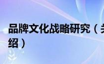 品牌文化战略研究（关于品牌文化战略研究介绍）