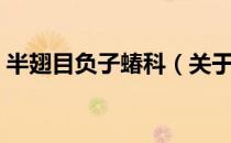 半翅目负子蝽科（关于半翅目负子蝽科简介）
